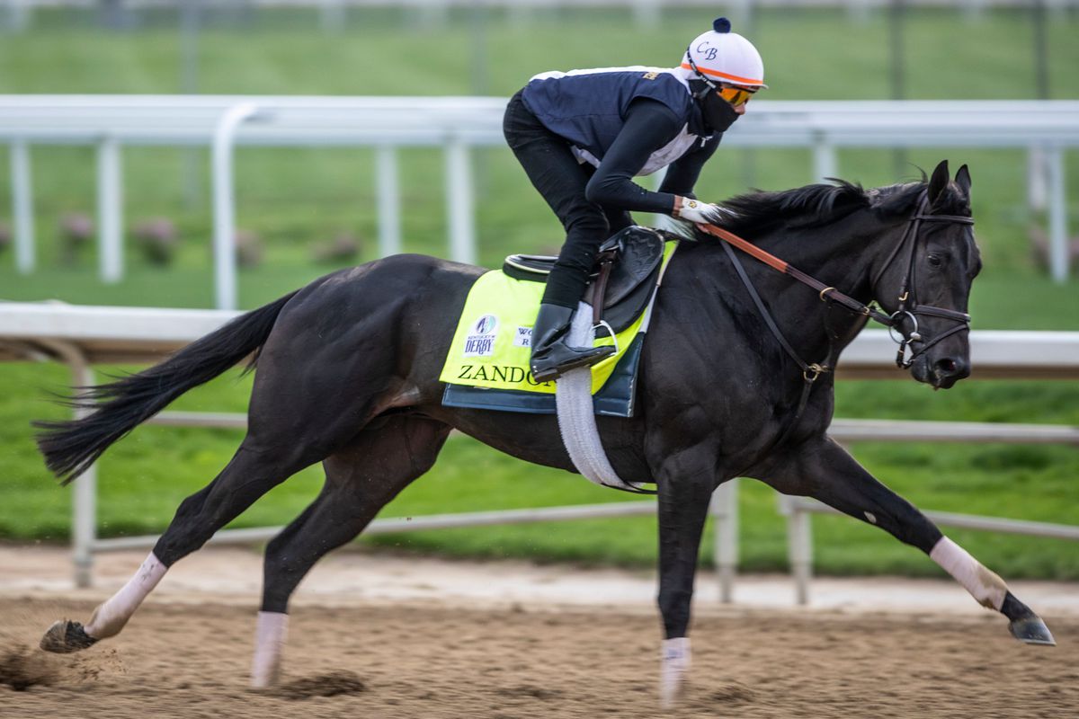 Preakness Stakes 2022 Betting Preview